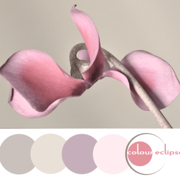 khaki beige and pink color palette