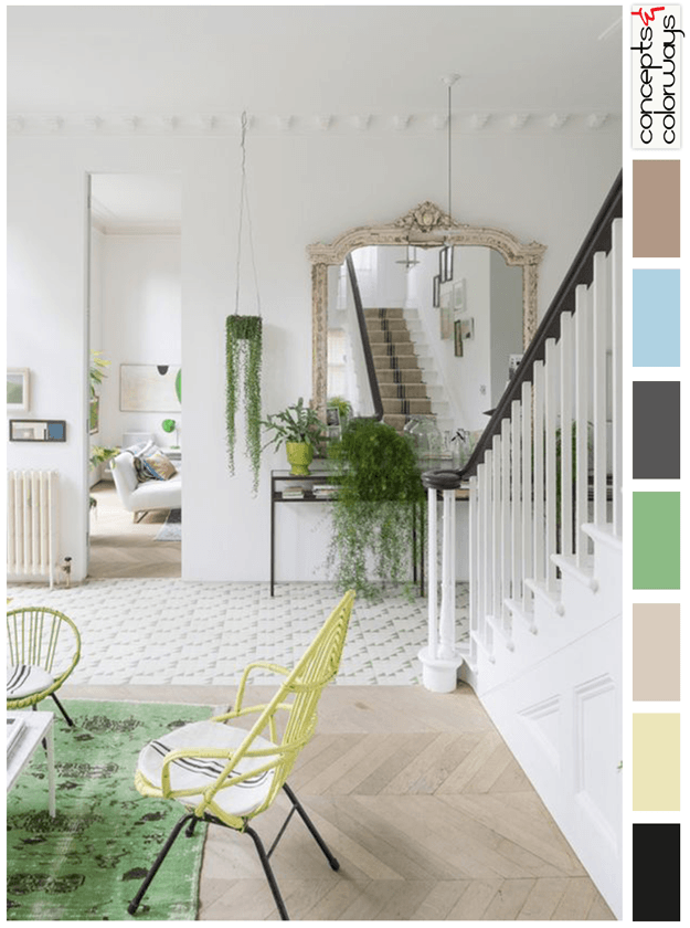 eclectic traditions interior color palette