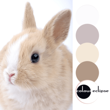 light brown and white bunny inspired color palette