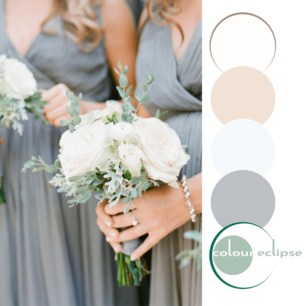 gray eucalyptus and cream color palette