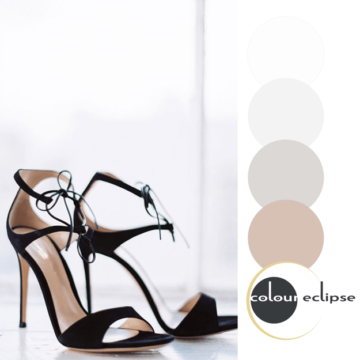 black blush and gray color palette