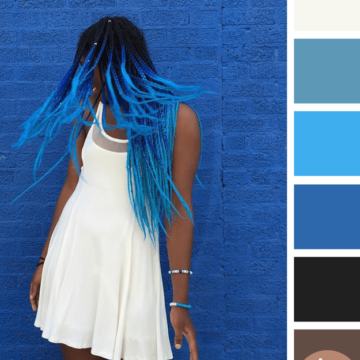 blue brown ivory black color palette