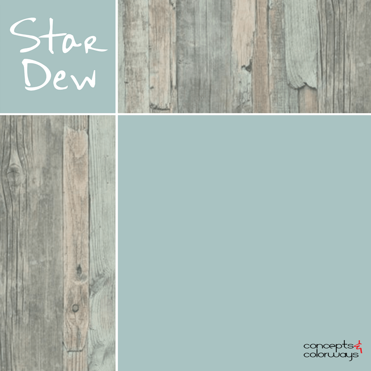 Sherwin Williams Stardew Concepts And Colorways - Best Duck Egg Blue Paint Colors