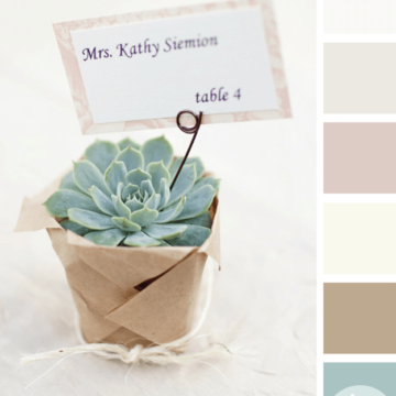 succulent inspired color palette