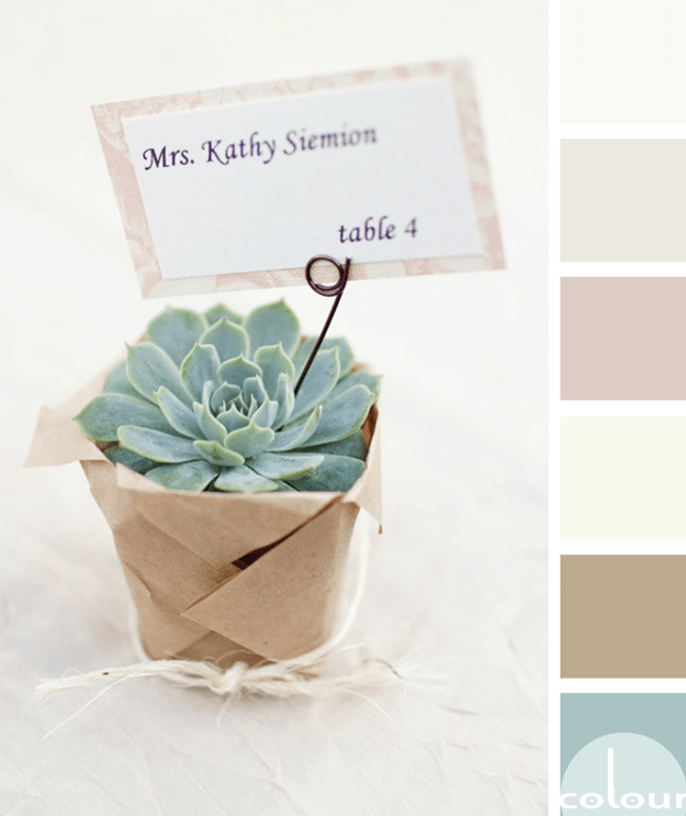 succulent inspired color palette