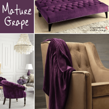 sherwin williams mature grape used in interior design