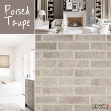sherwin williams poised taupe mood board