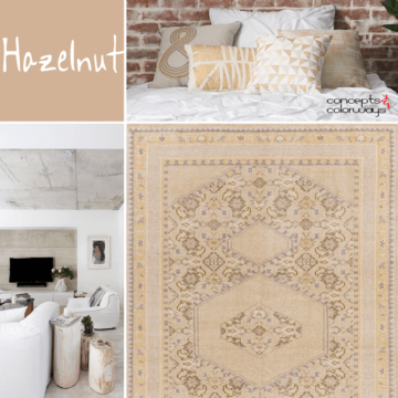 pantone hazelnut interior design