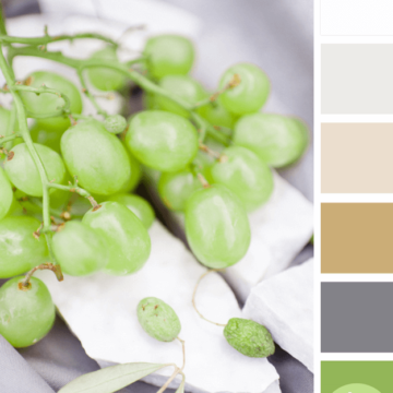 green grapes inspired color palette