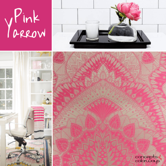 pantone pink yarrow color trends 2017
