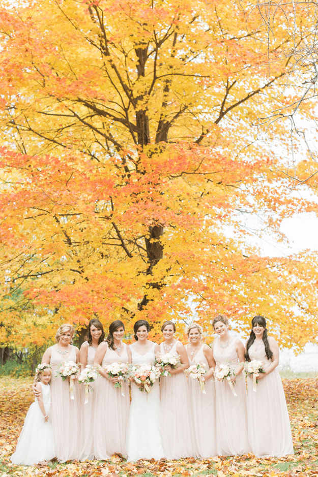 autumn-tree-with-burnt-orange-leaves-wedding-photo-sherwin-williams-cut ...
