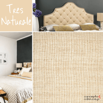 sherwin williams tres naturale color trend 2017