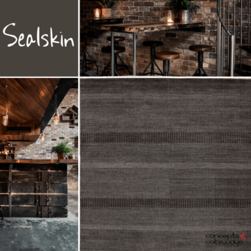 sherwin williams sealskin interior color trends 2017