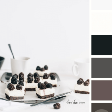 black and white color palette