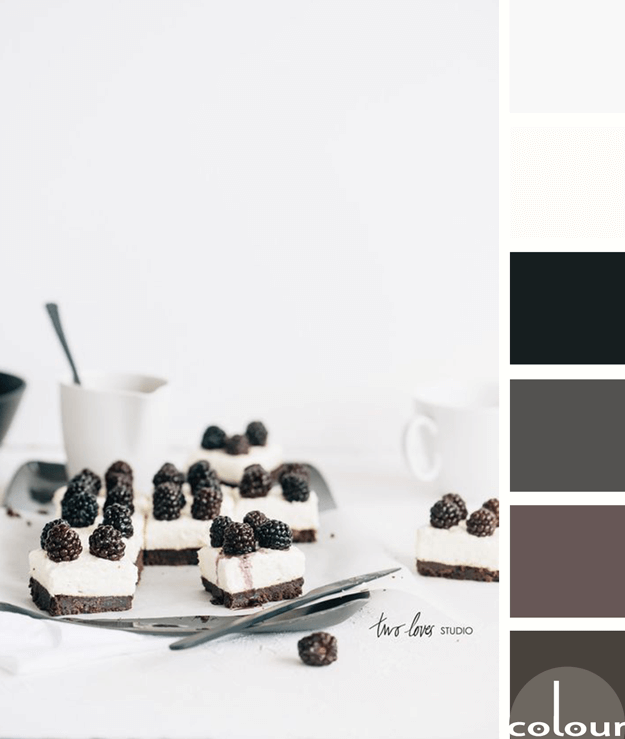 black and white color palette