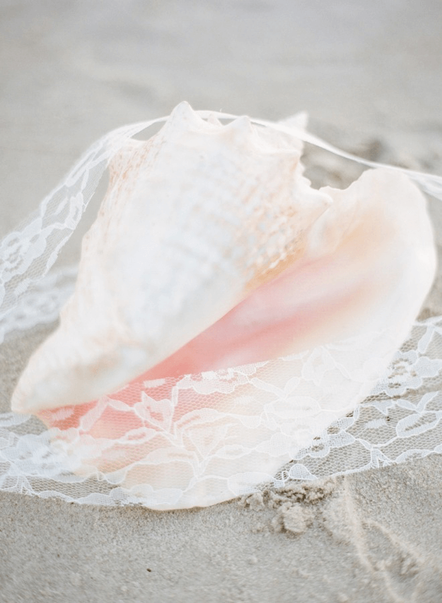 light pink sea shell on sand