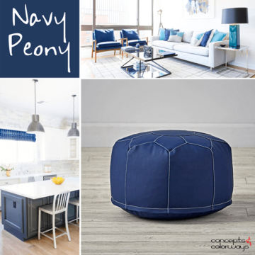 pantone navy peony used in interior design