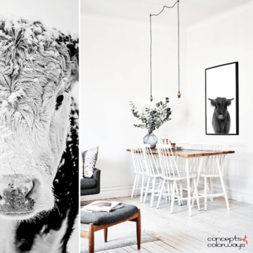 cow themed wall art