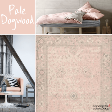 dusty pink bedding in taupe gray room