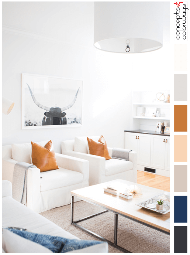 white living room with burnt orange and indigo accents