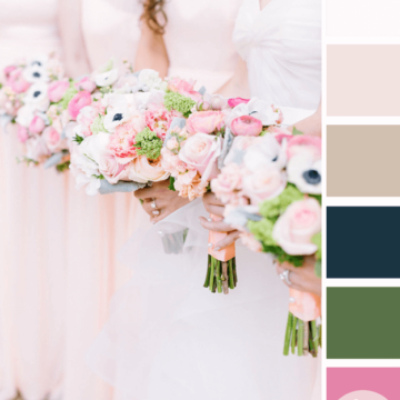 blush pink color palette