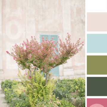 bubblegum pink, pink and green, blush pink, blush pink walls, aqua blue, turquoise blue, sage green, dark green, pretty color palettes, feminine color palette, color palette, pink blooms, blooming garden